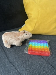 Плюшевая мягкая игрушка Капибара Capybara тренды TikTok декор для детской комнаты подарок на день рождения 18см фото от покупателей 1