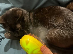 Паровая щетка расческа для вычесывания шерсти котов 3 в 1 Steamy Cat Brush Желтая