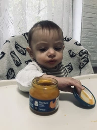 Дитяче пюре Gerber Чорнослив з 6 місяців 80 г (7613033513978) фото від покупців 12