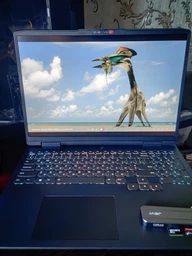 Ноутбук Lenovo IdeaPad Gaming 3 16ARH7 (82SC00AJRA) Onyx Grey / 16" IPS WUXGA+ 165 Гц / AMD Ryzen 5 6600H / RAM 16 ГБ / SSD 1 ТБ / nVidia GeForce RTX 3050 / 4-Zone RGB Підсвітка клавіатури фото від покупців 7