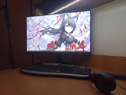 Монитор 24" Samsung S24С330 (LS24C330GAIXCI) FullHD IPS / 100Hz / 4 мс (GtG) / 8-Bit / sRGB 100% / AMD FreeSync / Adaptive-Sync фото от покупателей 12