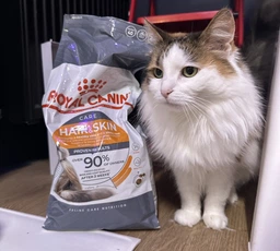 Сухой корм для кошек Royal Canin HAIR&SKIN CARE поддержание здоровья кожи и шерсти 400 г (3182550721721) фото от покупателей 1
