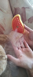 Паровая щетка расческа для вычесывания шерсти котов 3 в 1 Steamy Cat Brush Желтая фото от покупателей 1