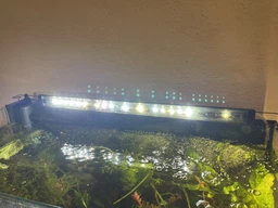 LED-светильник Collar AquaLighter Slim (60 см) для пресноводных аквариумов длиной от 58 до 80 см 5000-6500 K 2020 Лм 14 Вт (8790) фото от покупателей 1