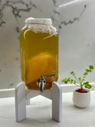 Продукт Чайний гриб KomBUCHA BOX 1 шт на 3л банку фото від покупців 10