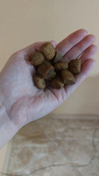 Сухой корм Carpathian Pet Food Maxi Adult для взрослых собак крупных пород с курицей и морским окунем 12кг фото от покупателей 7