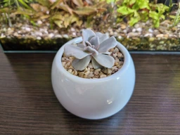 Керамический горшок для суккулентов Mini Plant маленького размера 6,2х6,3см Круг Красный фото от покупателей 1