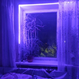 Светодиодная лента с пультом 5 метров 300 LED RGB MOD-5050 Разноцветная фото від покупців 1
