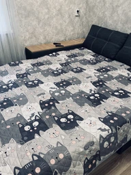 Покрывало Руно с ультразвуковой стежкой 150х212 см Полуторный Grey Cat двустороннее (Р360.52_Grey Cat)