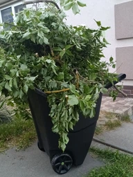 Тачка садовая Prosperplast LOAD & GO II, 85л, черный (5905197979656)