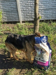 Сухой корм CLUB 4 PAWS PREMIUM Клуб 4 лапы для взрослых собак БОЛЬШИЕ ПОРОДЫ, 14 кг фото от покупателей 3
