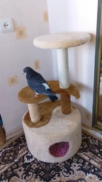 Когтеточка Lucky Pet домик сизалевый Инь-янь, 82х44х44см