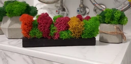 Брашырованое кашпо огнем со стабилизированым мхом MiNature Moss