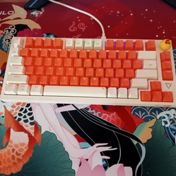 Механічна ігрова клавіатура Ajazz DKM-200 (81 клавіша, USB Type-C, White) фото від покупців 1