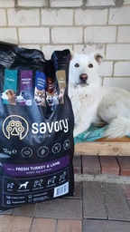 Корм сухий Savory Medium Breed Rich in Fresh Turkey та Lamb для дорослих собак середніх порід від 10 до 25 кг зі свіжим ягням 12кг фото від покупців 11