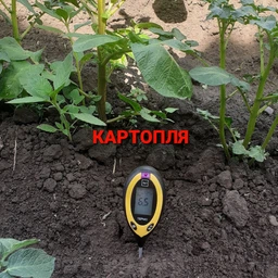 Анализатор почвы Многофункциональный измеритель кислотности почвы PH-метр 4 в 1 АМТ-300 фото от покупателей 9