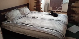 Комплект постельного белья Love You Полуторный 160х220 Tlg2302 Сатин (ly31070)