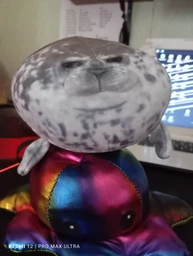 Плюшевая мягкая игрушка Тюлень Seal (20 см) тренды TikTok декор для детской комнаты подарок на день рождения фото от покупателей 12