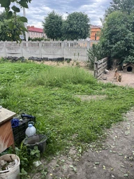 Мотокоса з безщітковим мотором 550 Ват з двома аккумуляторами 24в 3000мАч (6-36-pr-07)