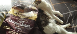 Корм Carnilove Cat Fresh Chicken & Rabbit Gourmand сухой полнорационный беззерновой с курицей и кроликом для кошек 0.4 кг