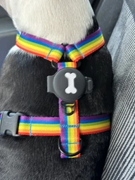Чехол брелок для Apple AirTag на ошейник для собак AirTag case for dog Clip Blue Kayfovo ATB-1 фото от покупателей 5