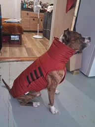 Пуховик Noble Pet Bobby Navy B4118/4XL (00001717) фото от покупателей 6