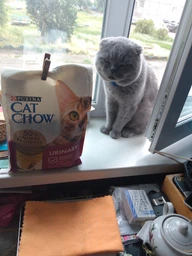 Сухой корм для взрослых кошек Purina Cat Chow Urinary для поддержания здоровья мочевыводящей системы, с курицей 1.5 кг (5997204514387) фото от покупателей 3