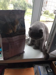 Сухой корм Carpathian Pet Food Sensitive Digestive для котов с чувствительным пищеварением 12 кг фото от покупателей 3