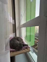 Лежанка для кошек оконный гамак с присосками на окно Sunny Seat Mounted Cat Bed до 22 кг Лёгкая Бежевая (3026)