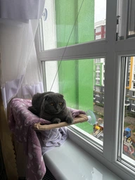 Лежанка для кошек оконный гамак с присосками на окно Sunny Seat Mounted Cat Bed до 22 кг Лёгкая Бежевая (3026) фото от покупателей 1