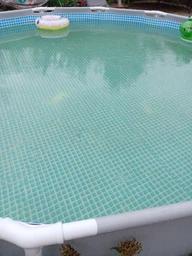 Альгіцид AquaDoctor AC Mix 5 л фото від покупців 2