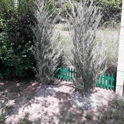 Садова огорожа пластикова 46 × 28 см, зелена, ММ Пласт MM2065-14 фото від покупців 1