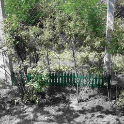 Садова огорожа пластикова 46 × 28 см, зелена, ММ Пласт MM2065-14