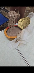 Сюрстрьомінг Roda Ulven Surströmming 400g / 300g