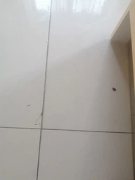 Робот-пылесос PHILIPS Series 3000 XU3000/01 фото от покупателей 6