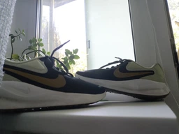 Кроссовки мужские Nike Revolution 7 44.5 Комбінований FB2207-009 фото от покупателей 7