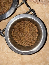 Сухой корм для взрослых кошек Carnilove True Fresh Cat Chicken с курицей 1,8 кг (8595602561483) фото от покупателей 2