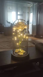 Роза в колбі з LED підсвіткою, вічна троянда нічник декоративна лампа в спальню дівчині подарунок для жінки романтичний дружині мамі на день народження троянда біла з батарейками в комплекті декор для інтер'єру 2100037 фото від покупців 14