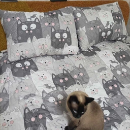 Ковдра Руно літня полуторна 140x205 см антиалергенне волокно Grey Cat (Р321.52СЛКУ_Grey Cat) фото від покупців 9