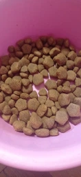 Сухий корм для дорослих собак великих порід Purina Dog Chow Adult Large Breed зі смаком індички 14 кг фото від покупців 6