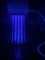 Лампа від комах 5 Вт на акумуляторі UV знищувач комарів мух мошок ос портативна електрична пастка для дому дачі тераси кемпінгу Сірий фото від покупців 6
