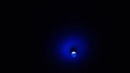 Лампа для уничтожения насекомых, комаров светодиодная 9W ZAPP LIGHT фото от покупателей 1