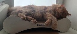 Когтеточка-лежанка Cat Joy «Модерн» из гофрокартона деревянный фасад Коричневая 54×13×25 см фото от покупателей 17