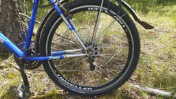 Покришка Schwalbe Land Cruiser 28x 1.75 47-622 Active, K-Guard TwinSkin B/B фото від покупців 10