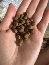 Сухой корм Farmina UltraHypo - для кошек при пищевой аллергии, 2 кг фото от покупателей 2
