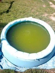 Шок (быстрый) хлор для бассейна Crystal Pool Quick Chlorine Tablets 1 кг в маленьких таблетках по 20 г (02101) фото от покупателей 1