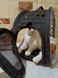 Сумка переноска mini Pet прозора для домашніх тварин (кішок, собак, кроликів і ін.) (Код: IBH010B) фото від покупців 1