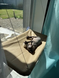 Подвесная лежанка - гамак для кошек Window Mounted Cat Bed