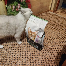 Сухий корм Purina Pro Plan Sterilised Adult 1+ Renal Plus для стерилізованих котів з індичкою 1.5 кг