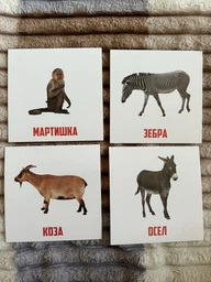 Карточки по методике Глена Домана ПК Мастер Животные 70 шт (МКД0015) фото от покупателей 2